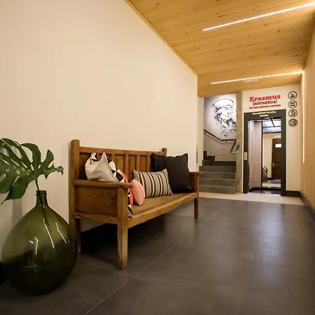 Erasmus Plaza Apartment